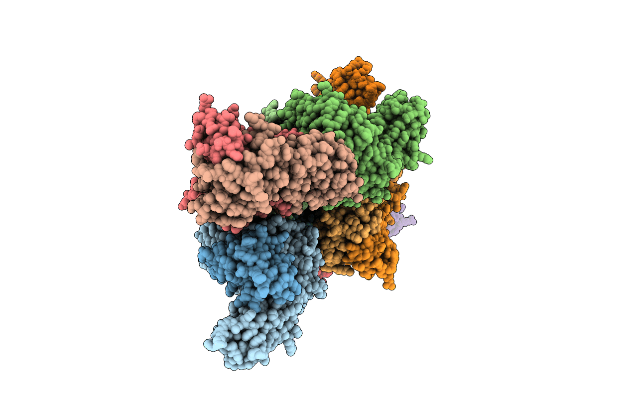 6RPB image