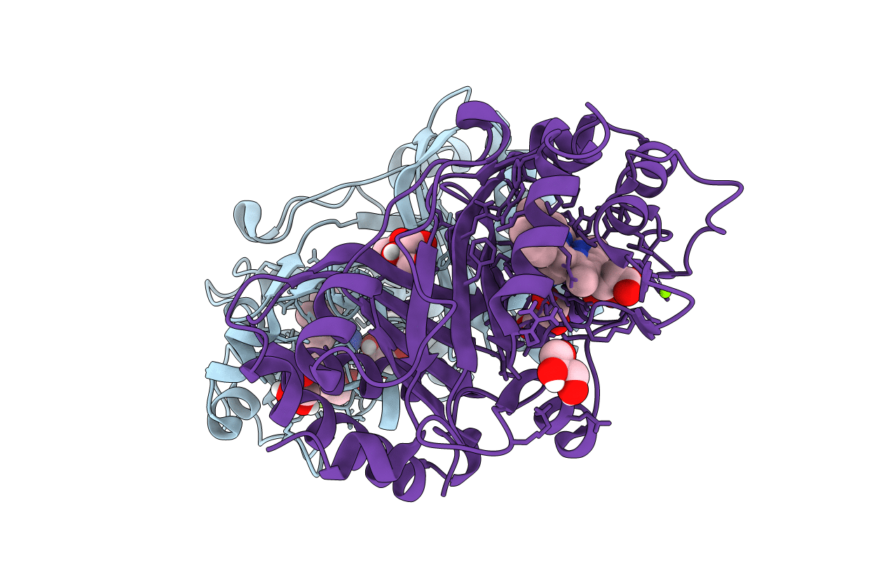 6RPD image