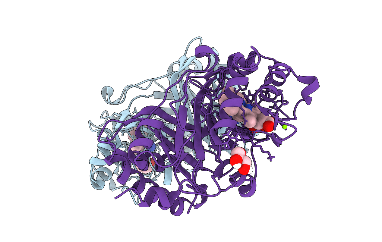 6RPE image