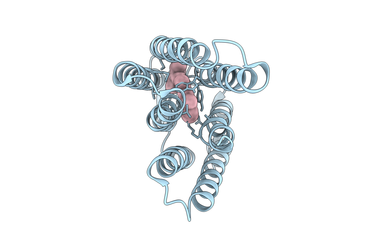6RPH image