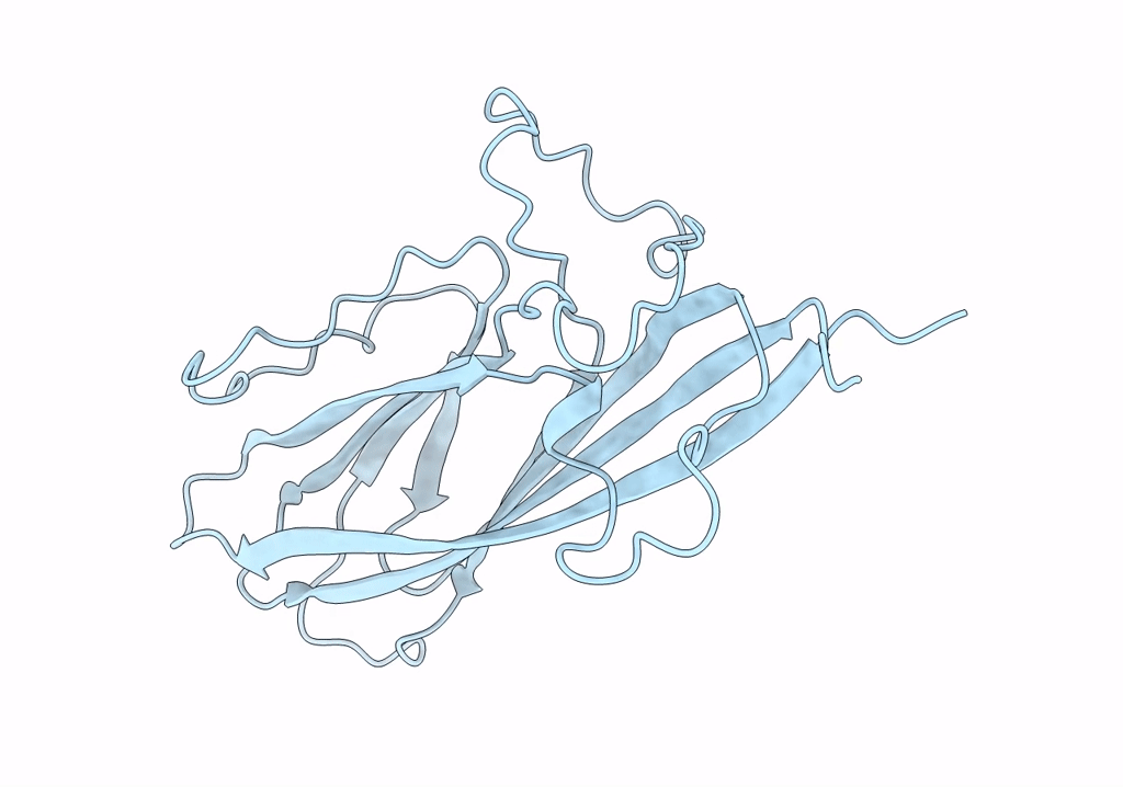 6RPL image