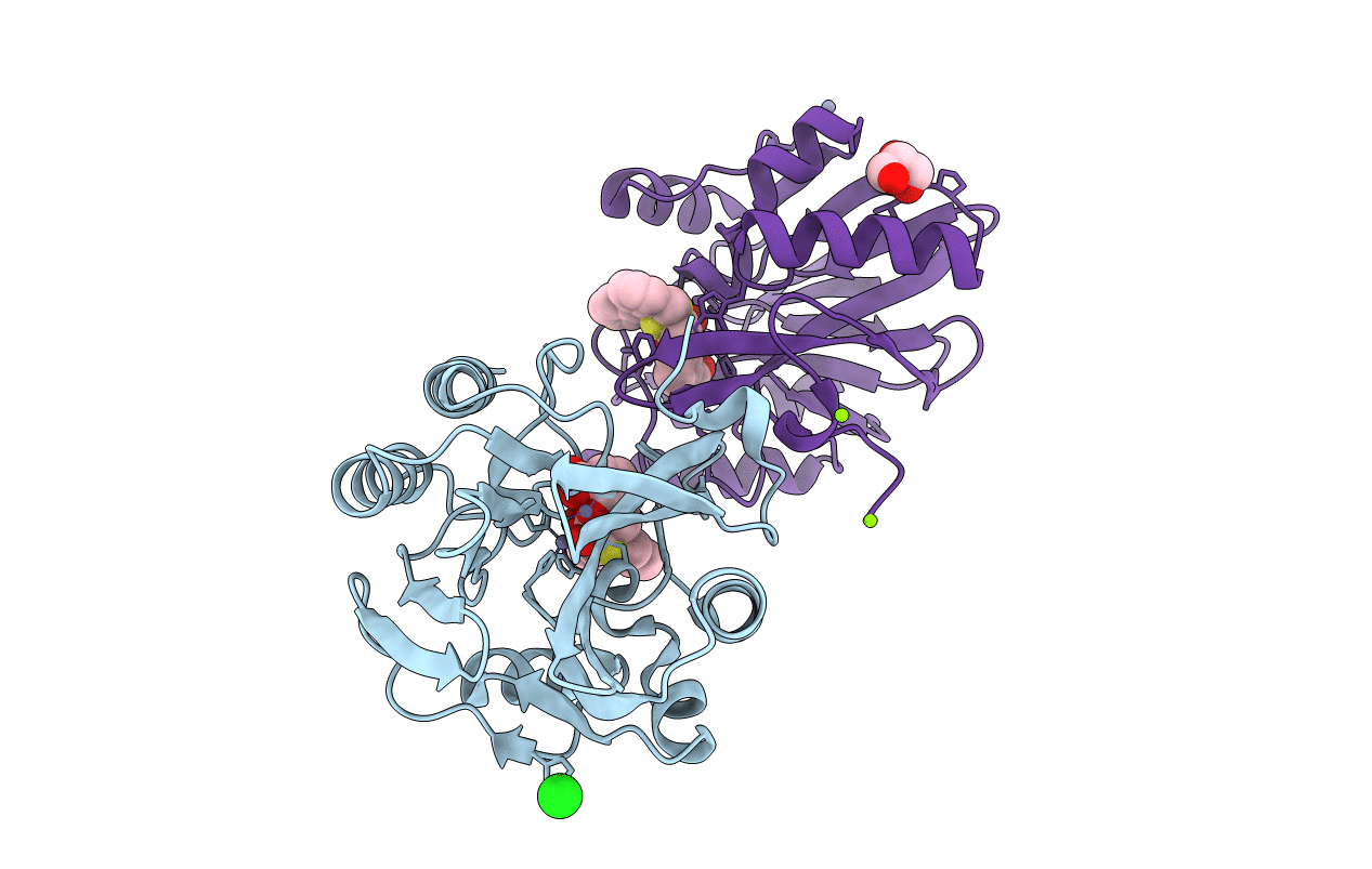 6RPN image