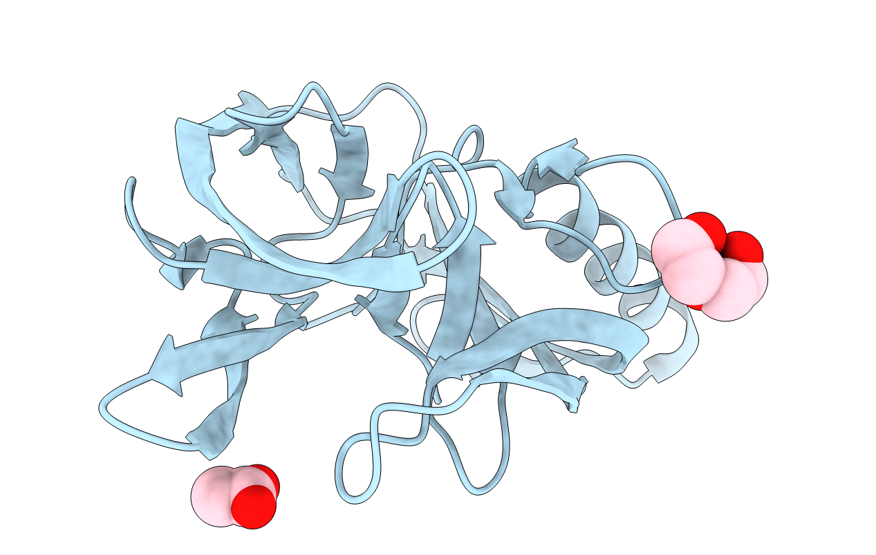 6RPP image