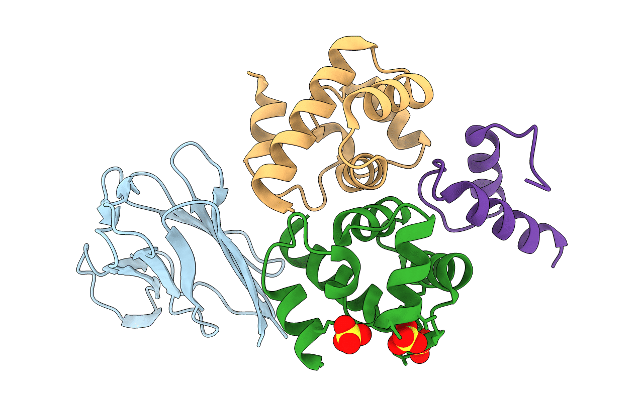 6RPR image