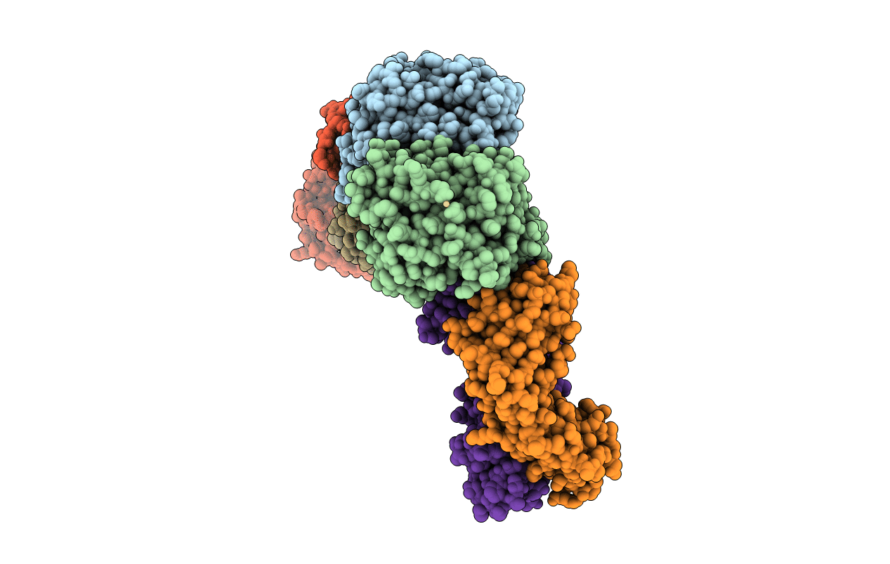 6RPS image