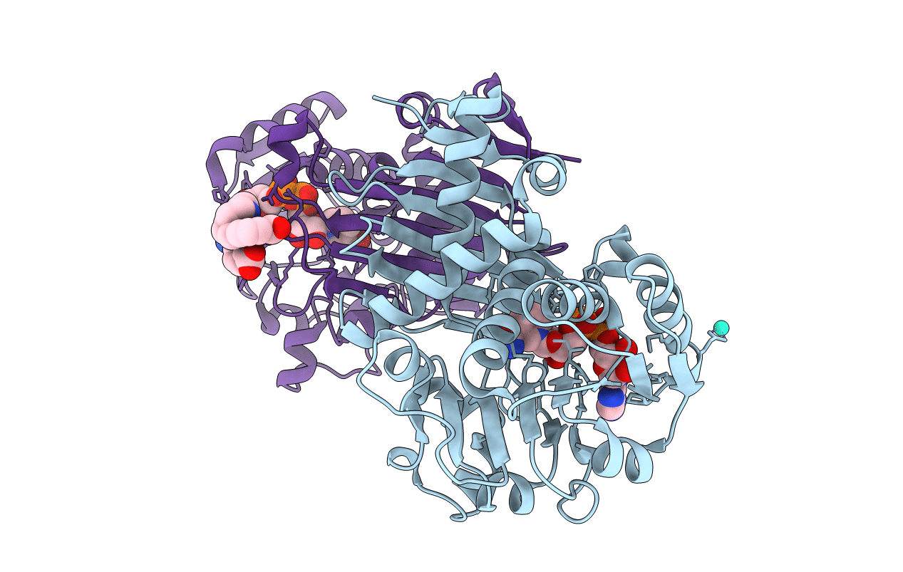 6RQA image
