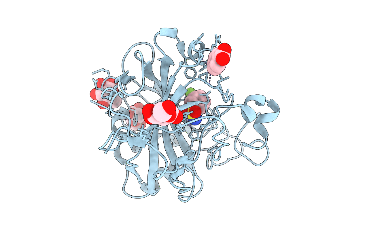 6RQI image