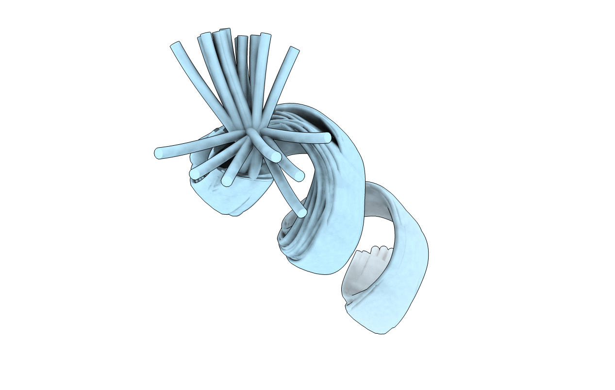 6RRO image