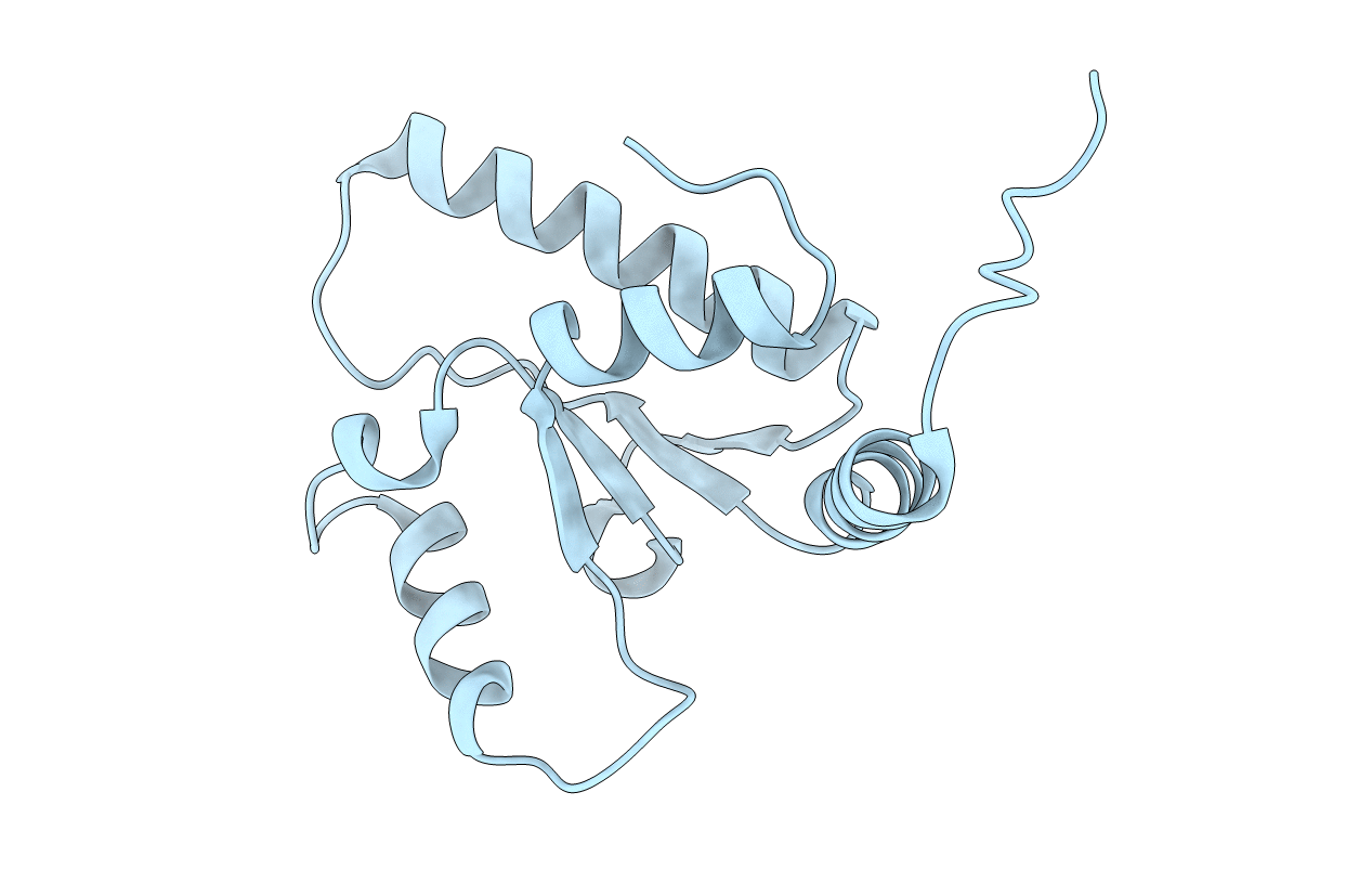 6RRV image
