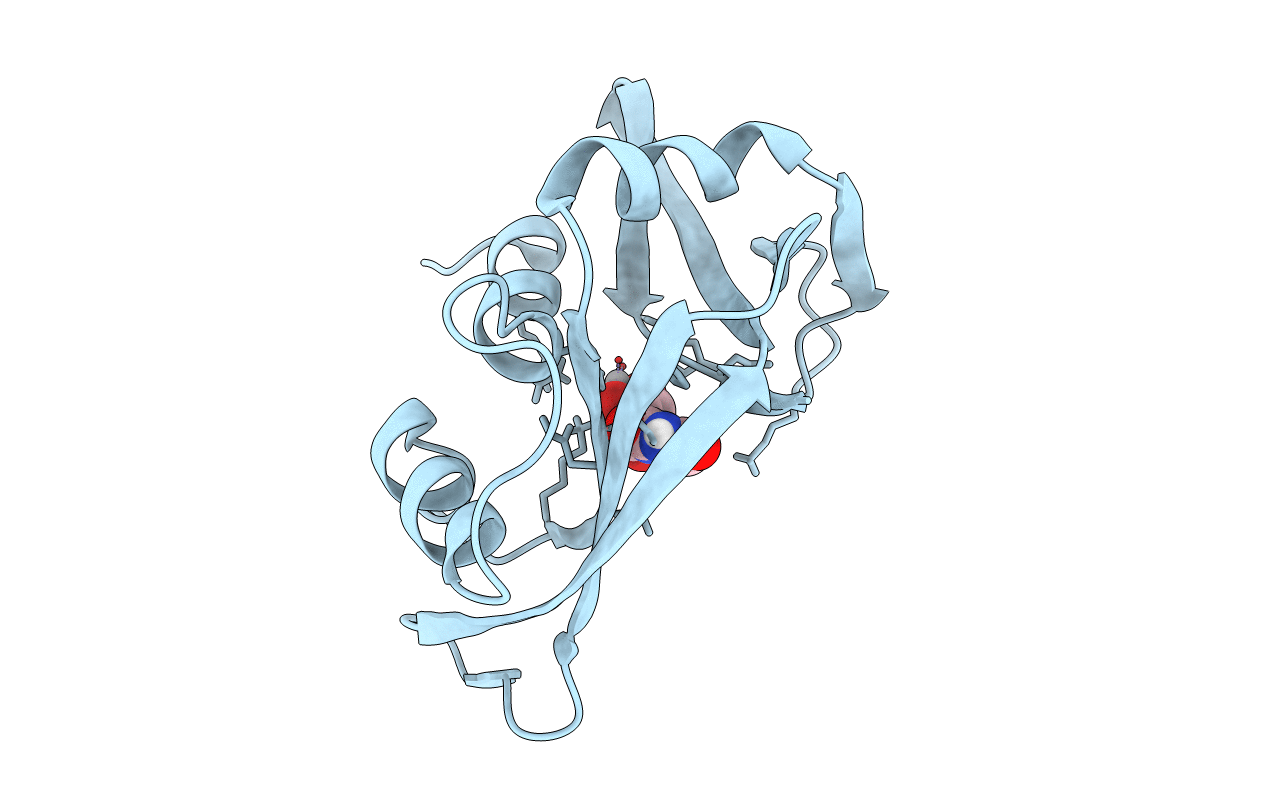 6RSA image