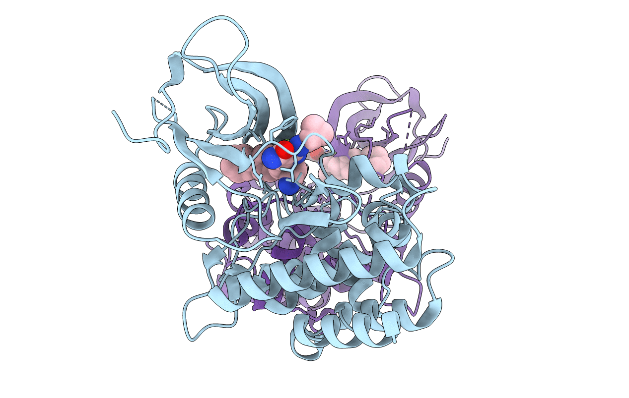 6RSB image