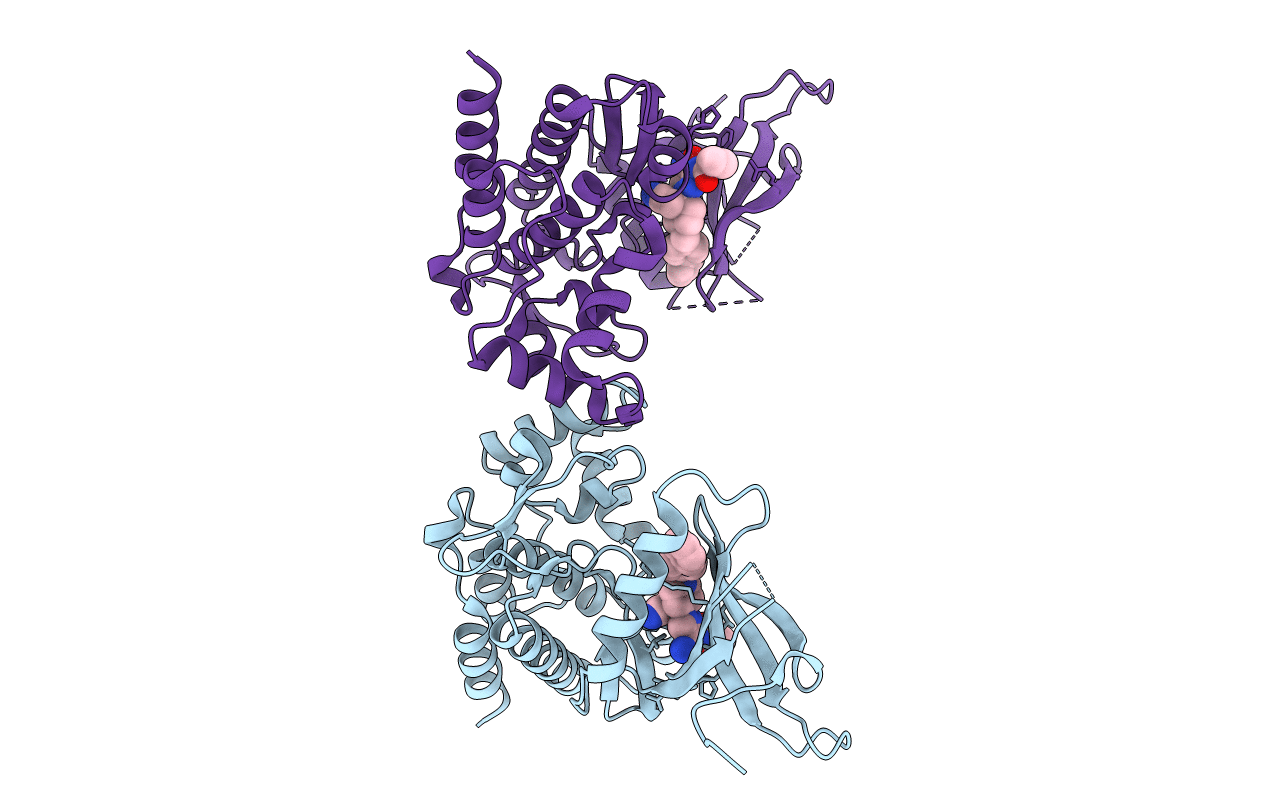6RSC image