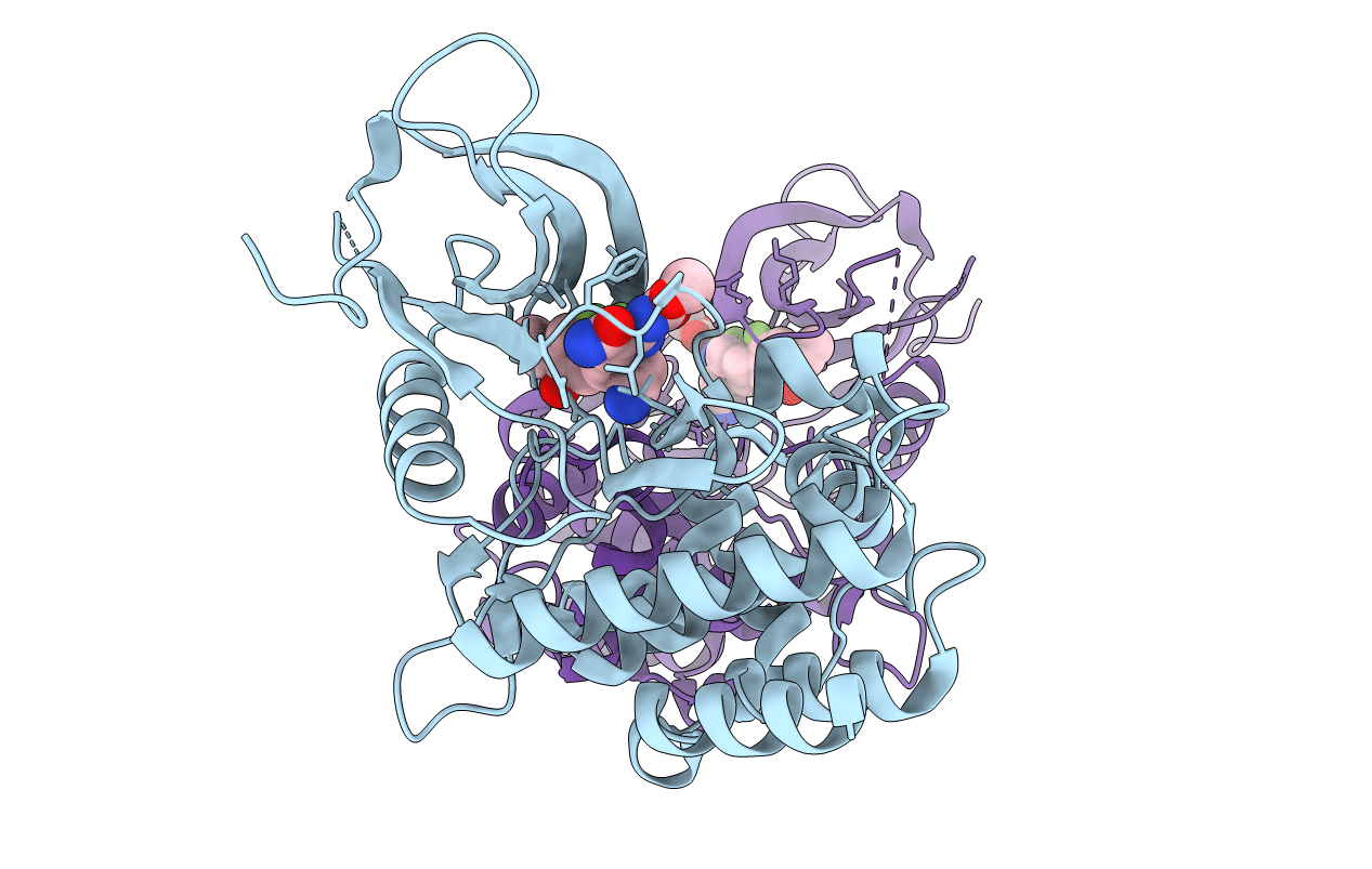 6rse image