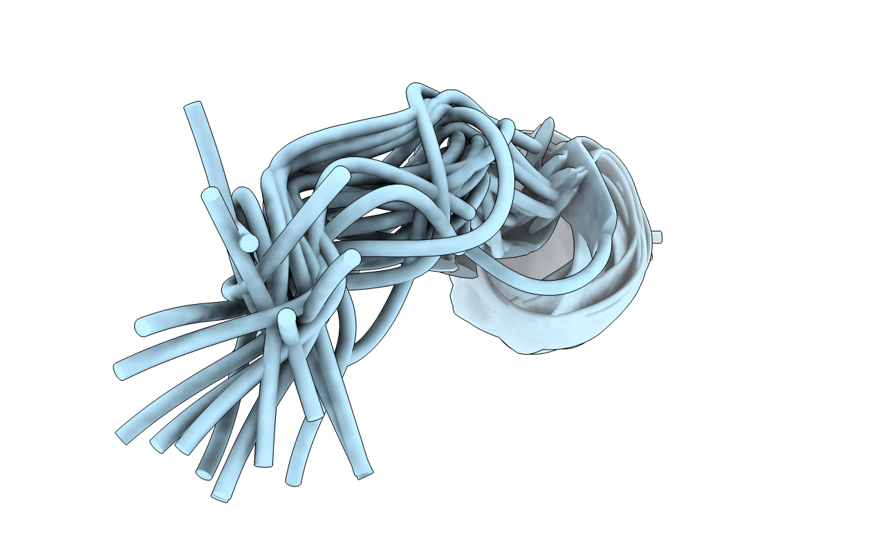 6RSM image