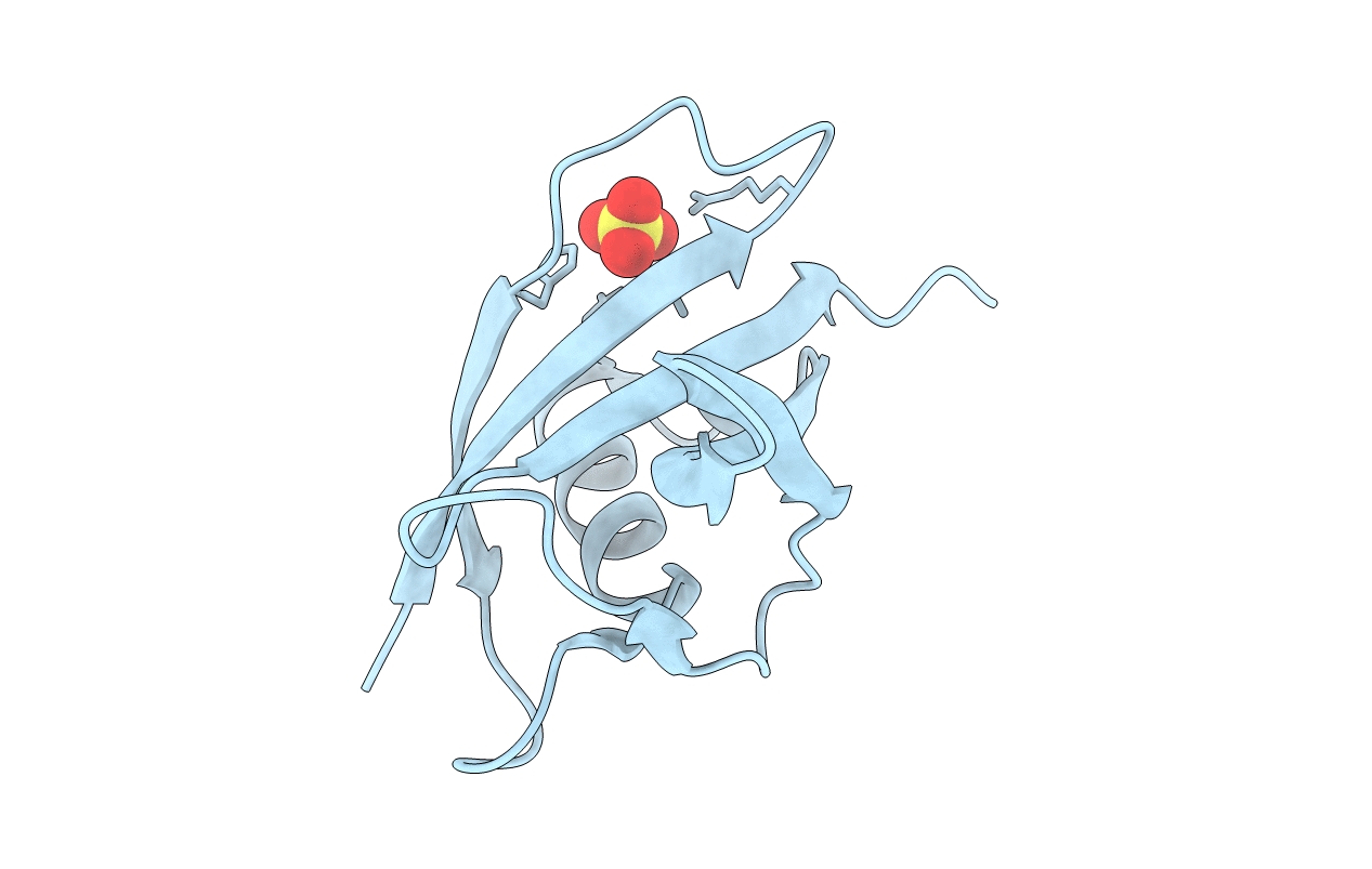 6RSN image