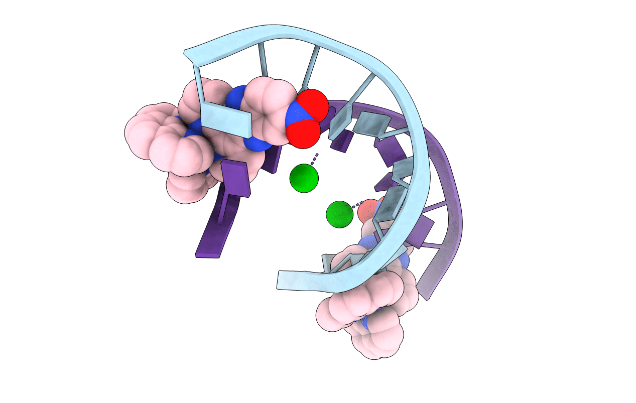 6RSP image