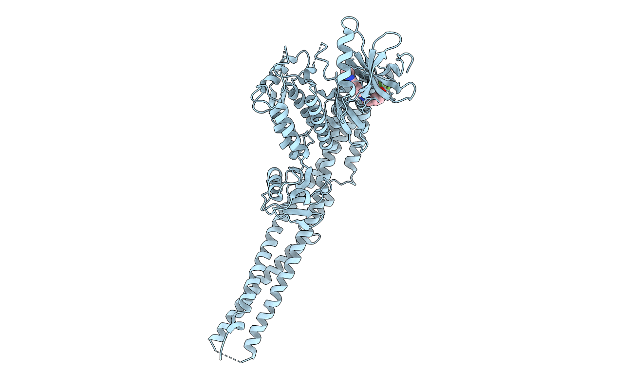 6RST image