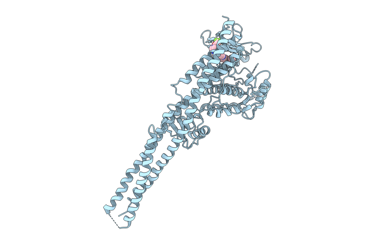 6RSU image