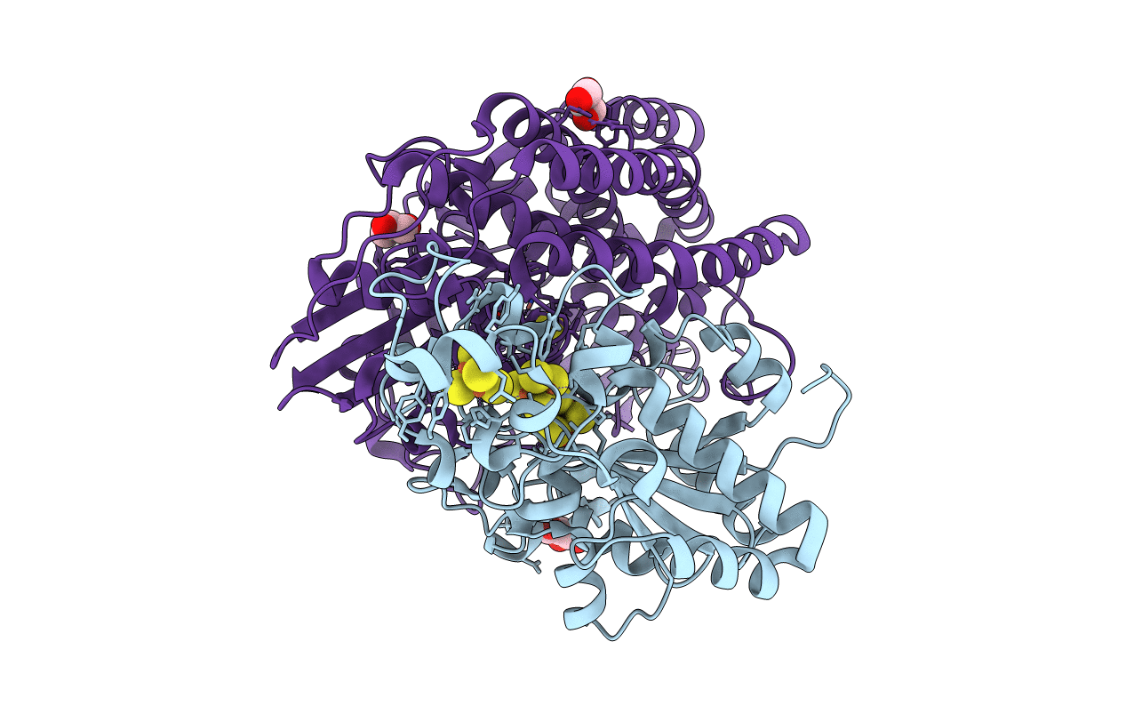 6RTP image