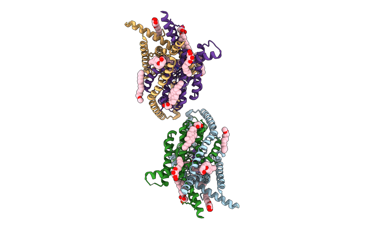 6RV3 image