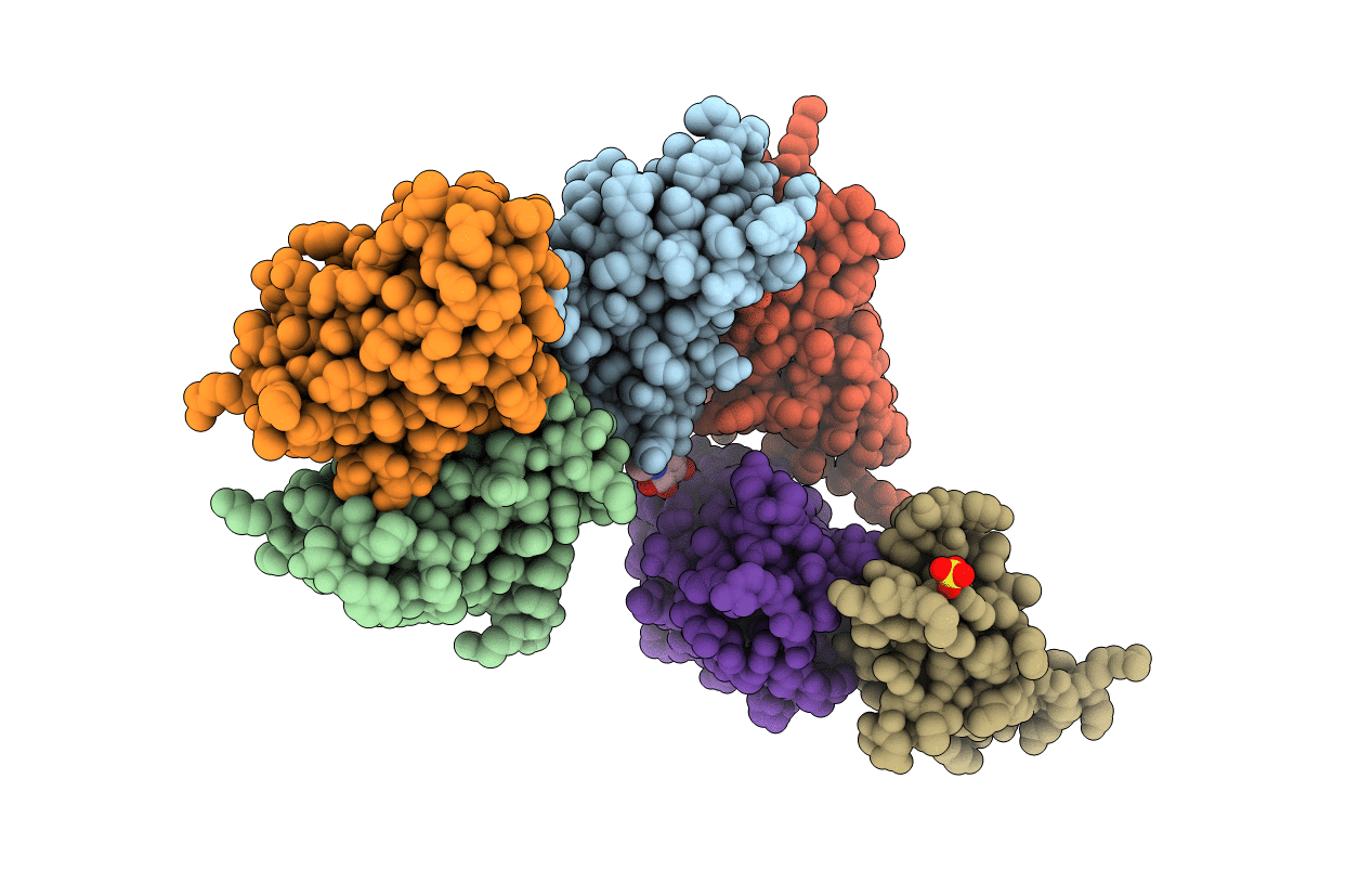 6RVC image