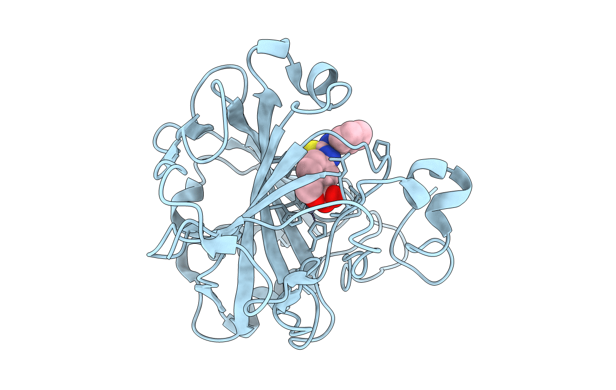 6RVL image