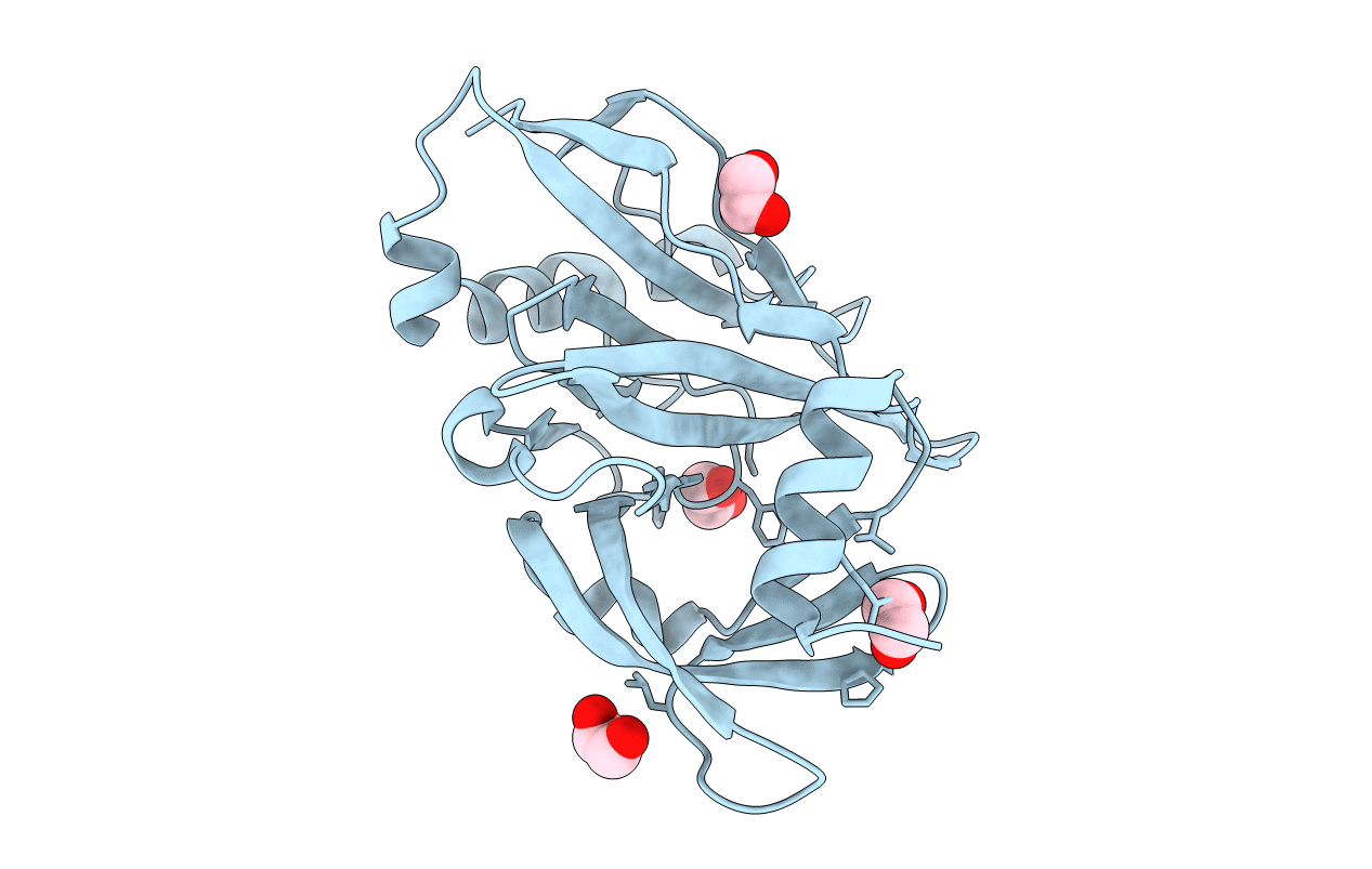6RVU image