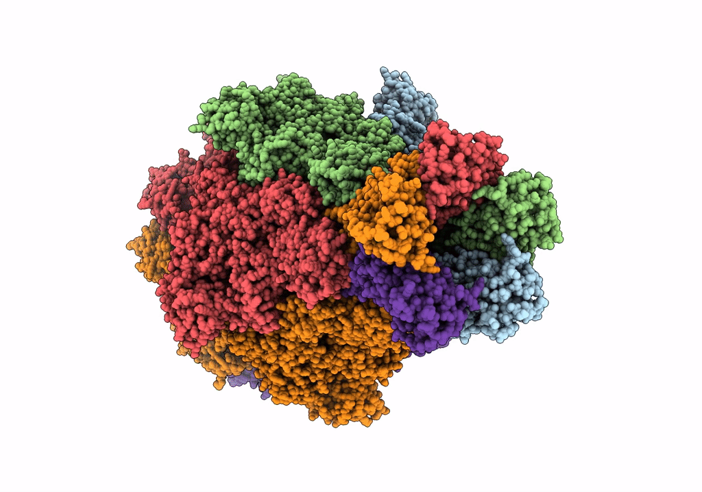 6RW9 image