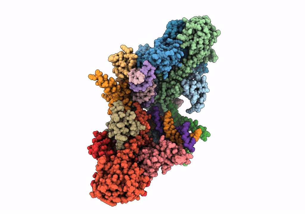 6RWN image