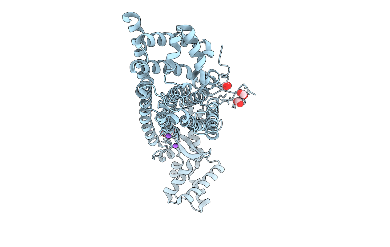 6RXA image