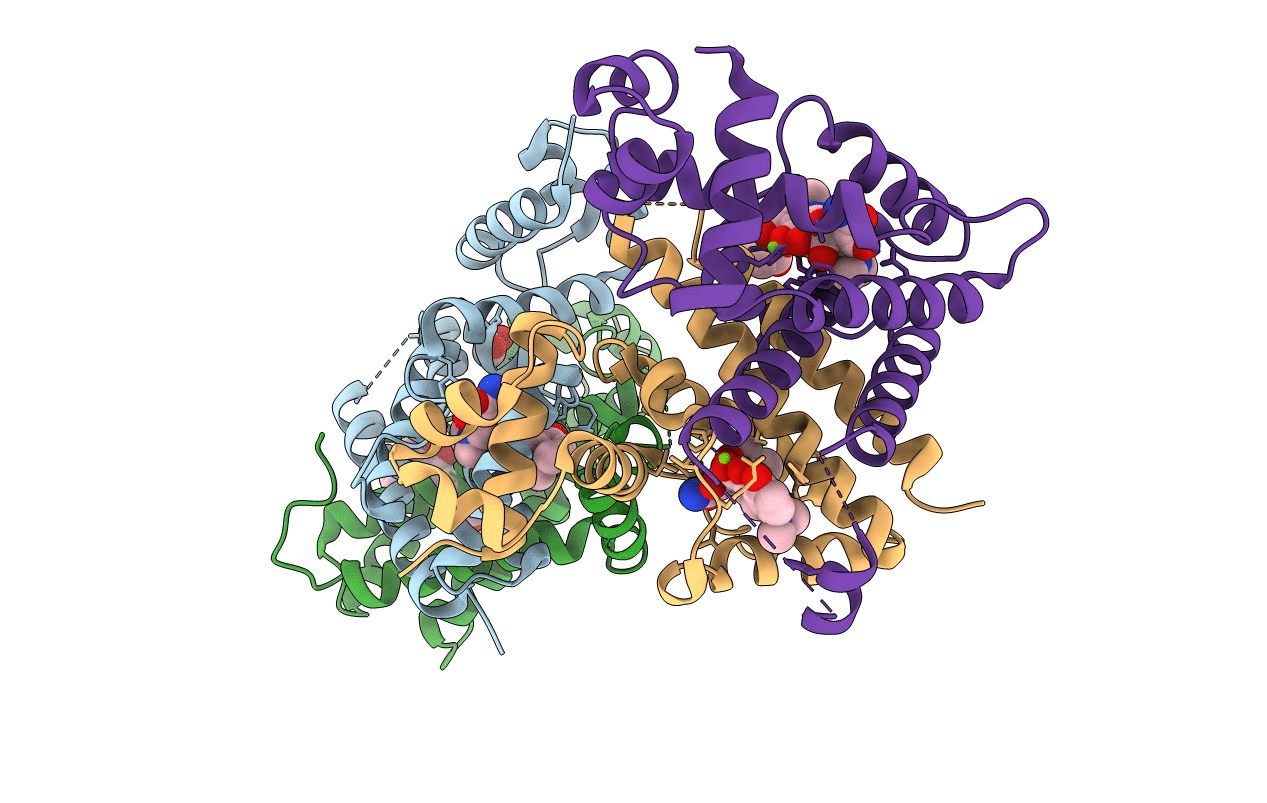 6RXB image
