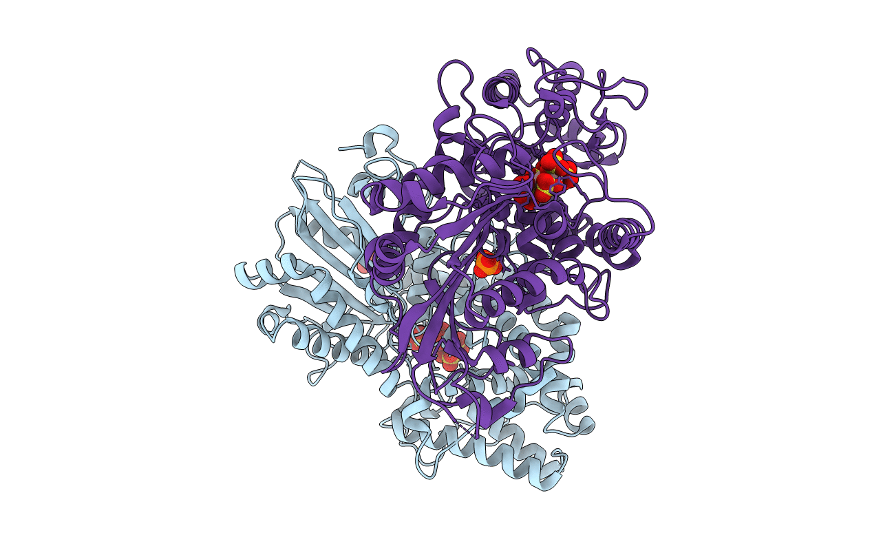 6RXE image