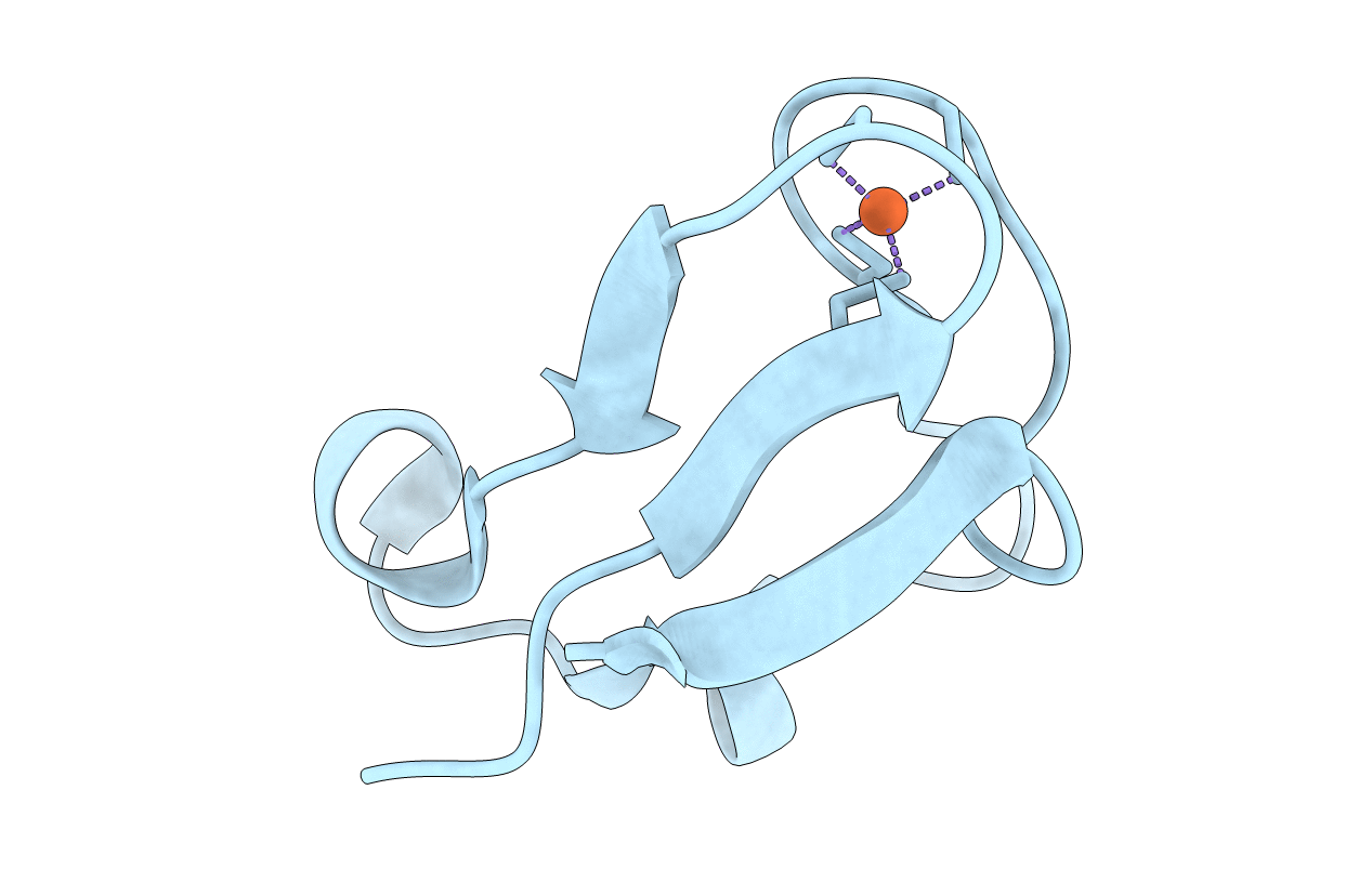 6RXN image
