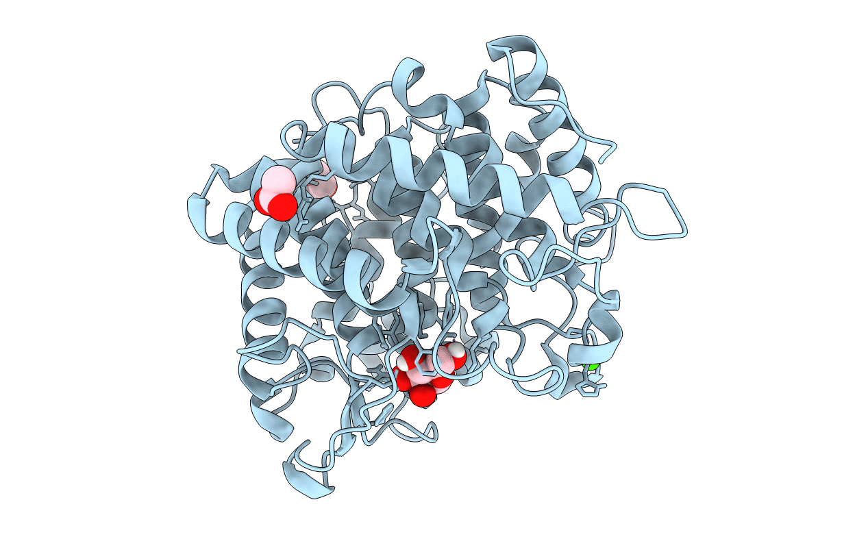 6RY1 image
