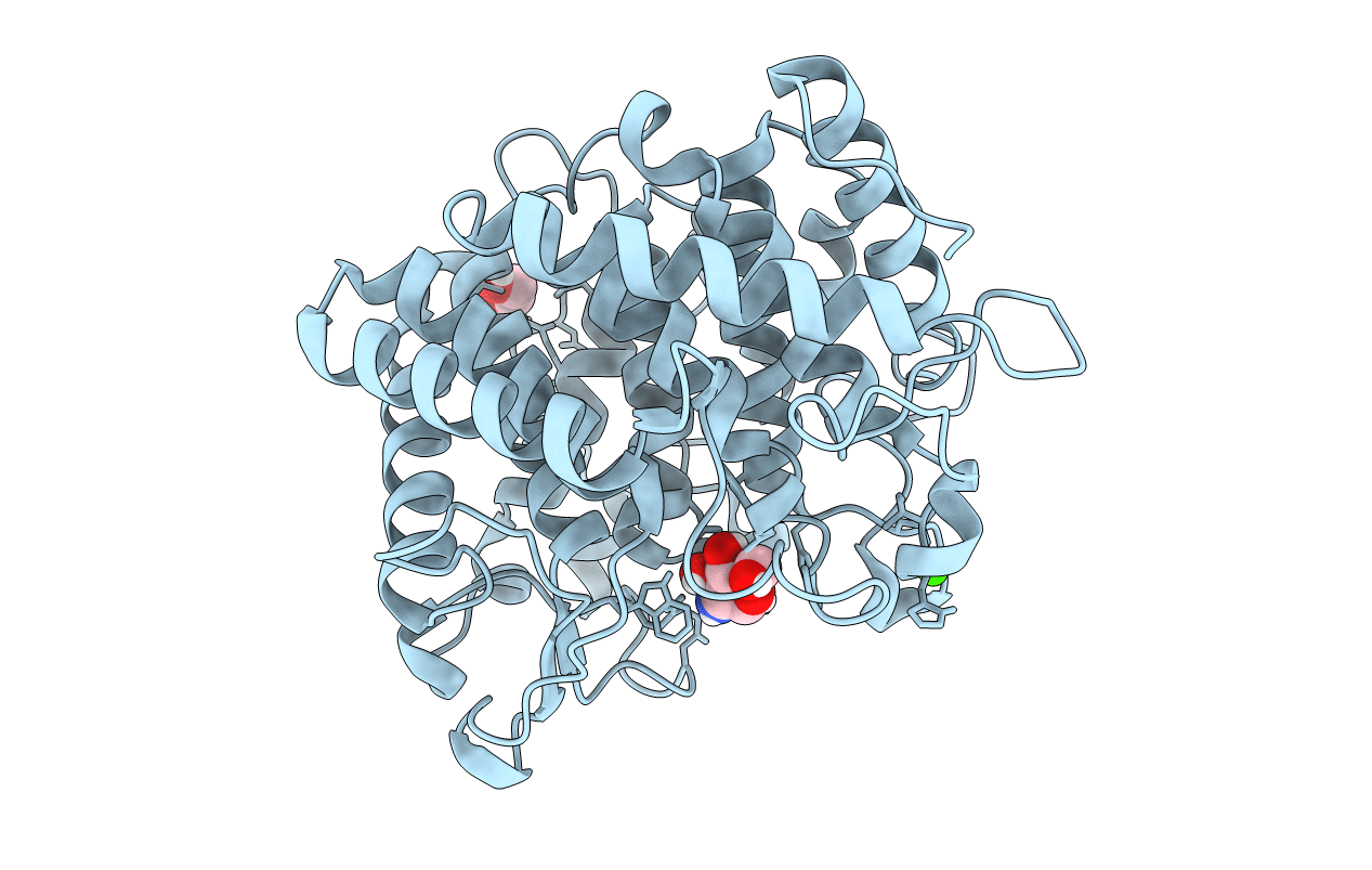 6RY6 image