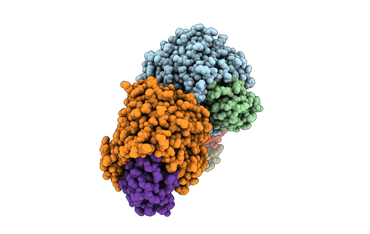 6RYA image