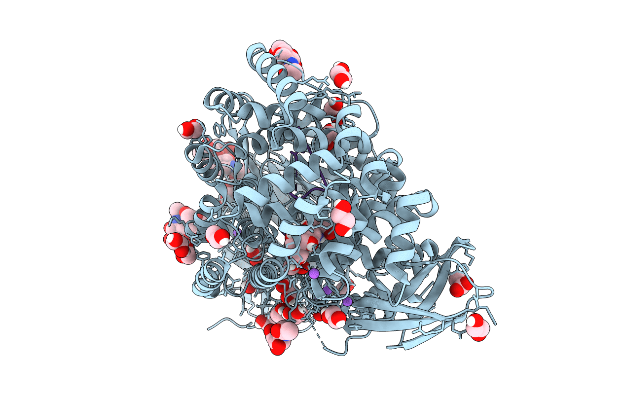 6RYF image