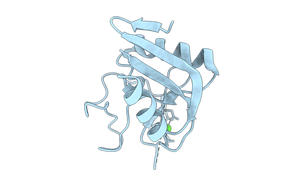 6RYG image