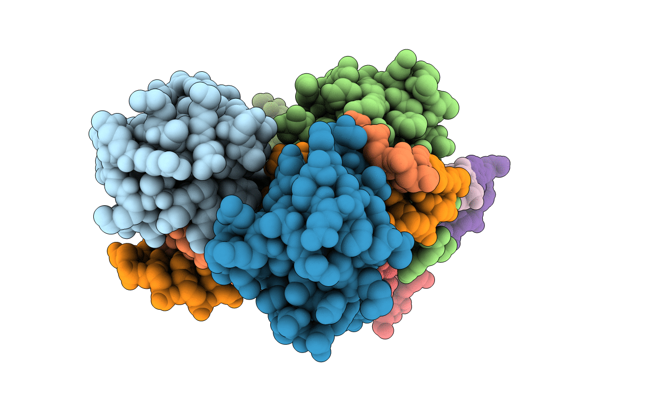 6RYL image