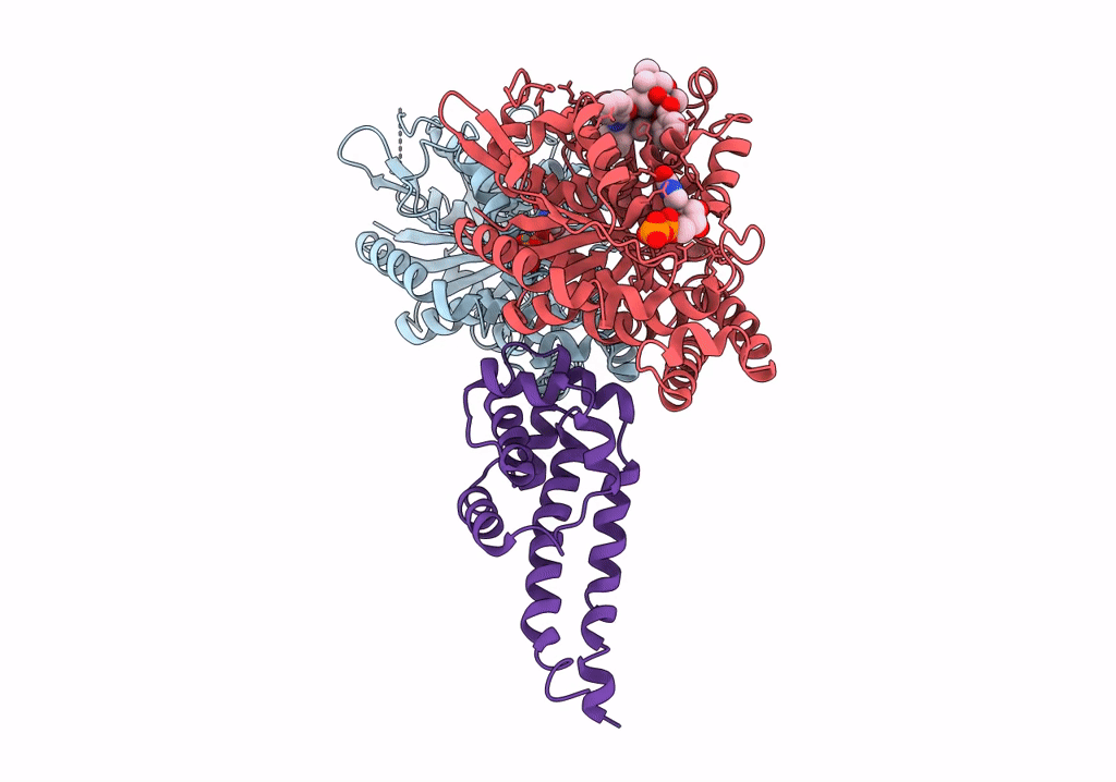 6RZB image