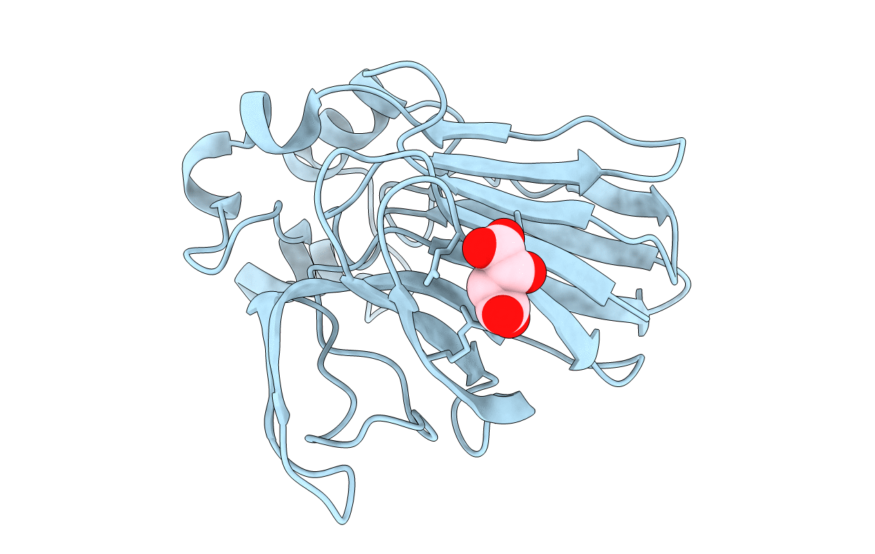 6s1d image