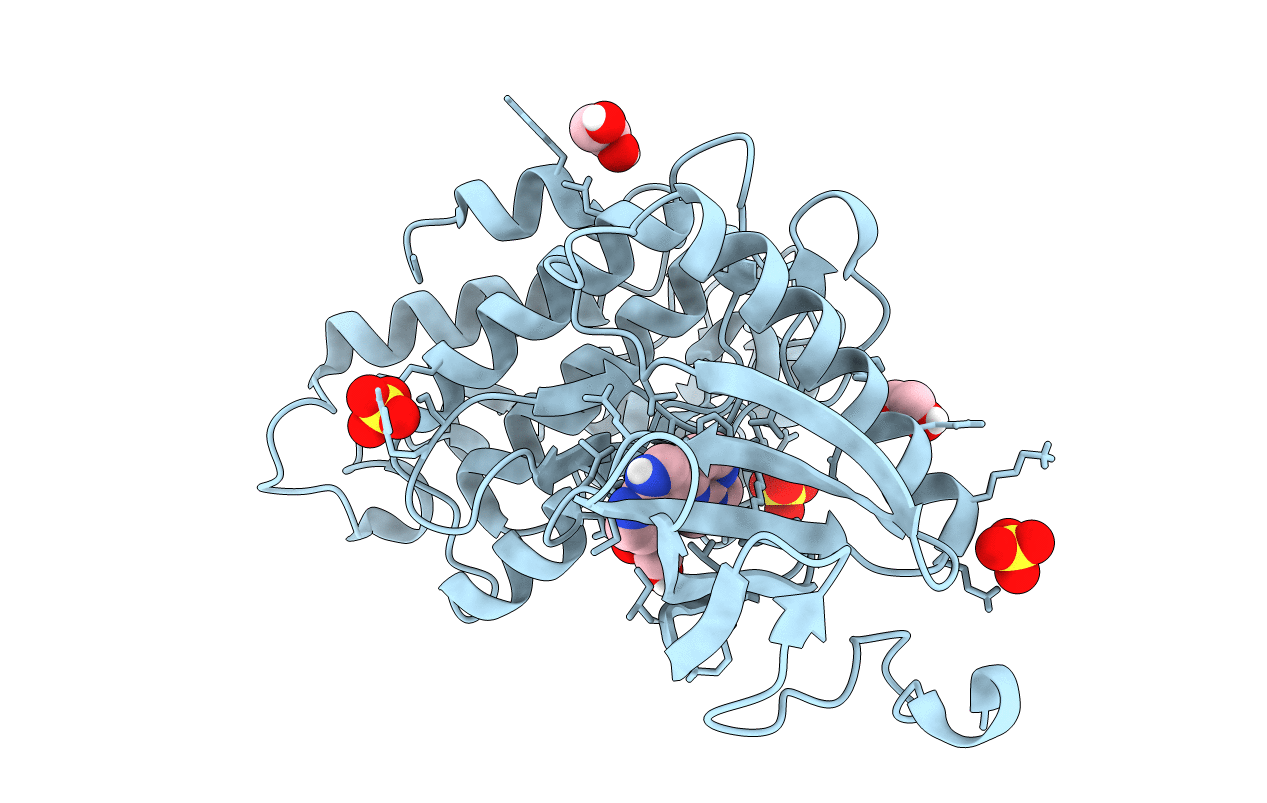 6S1H image