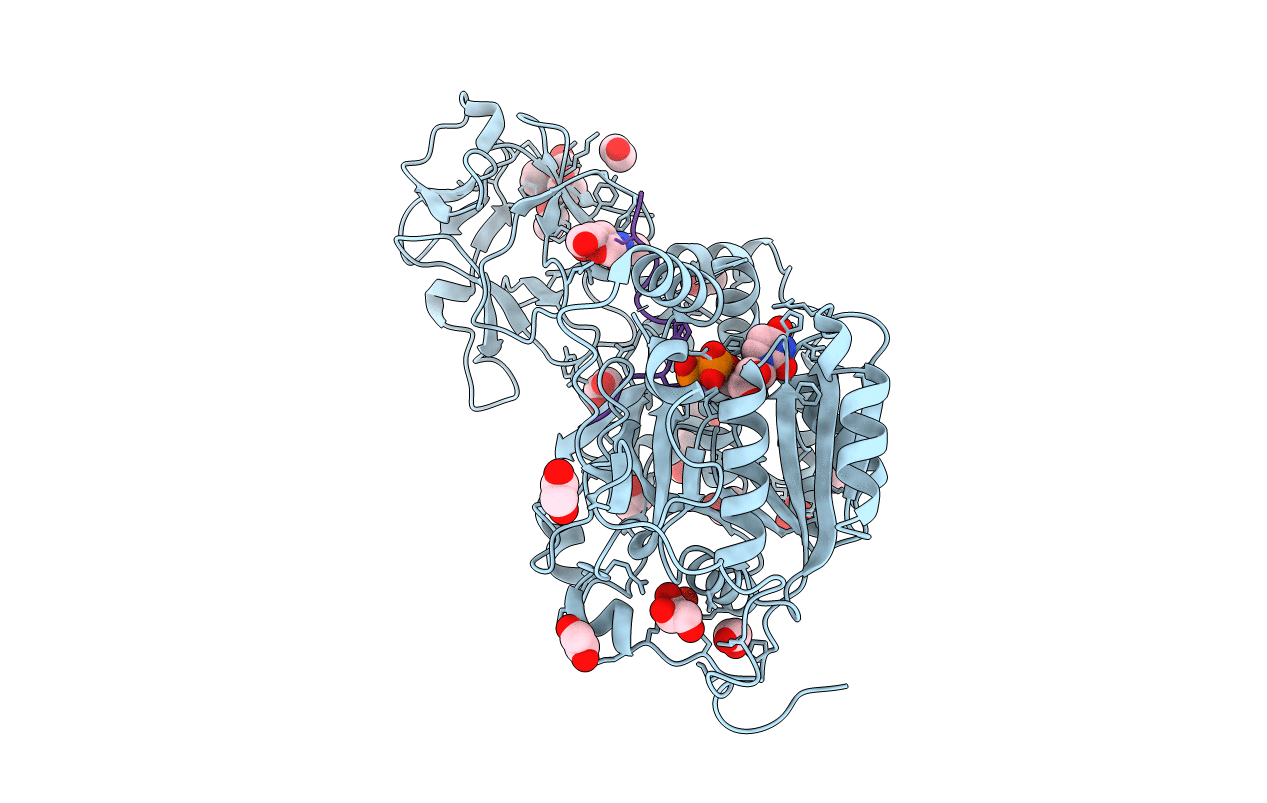 6S22 image