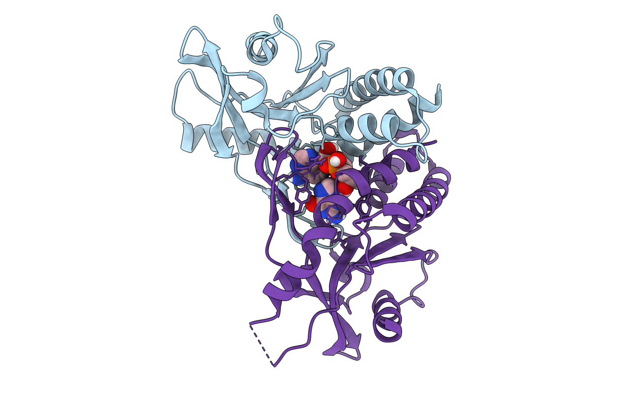 6S26 image