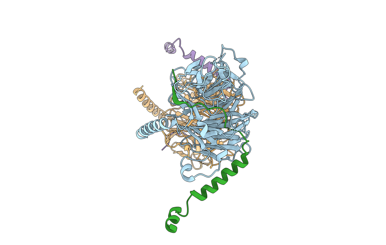 6S29 image