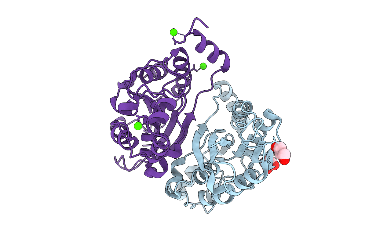 6S2R image