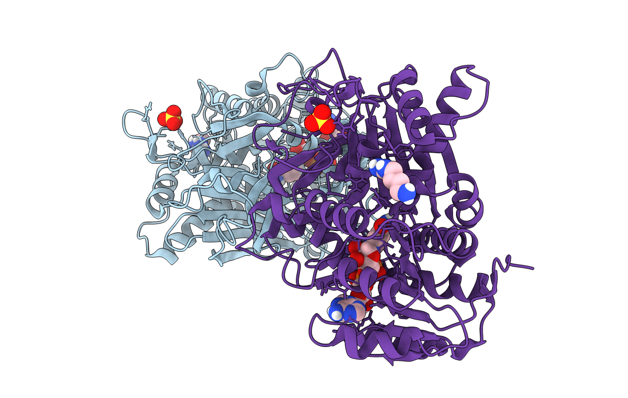 6S49 image