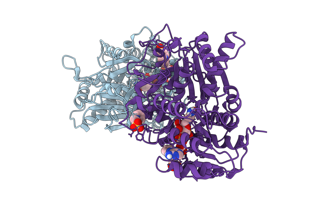 6S4D image