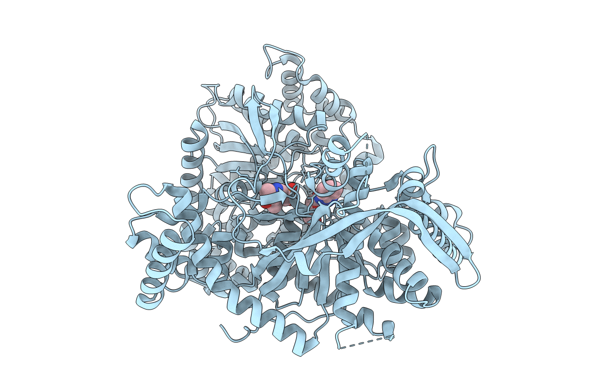 6S52 image