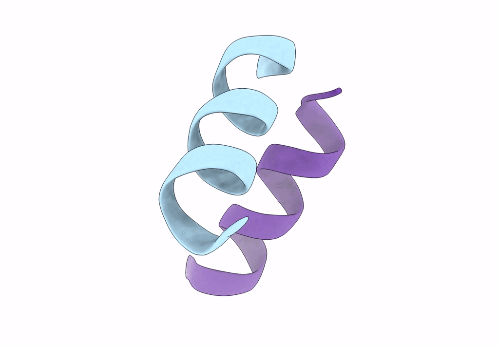 6S6N image